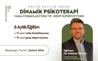 Dinamik Psikoterapi Vaka Formülasyonu ve Grup Süpervizyonu